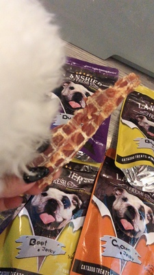 狗狗零食哪個牌子好？用戶最愛的蘭夏零食了解一下，安全又健康！