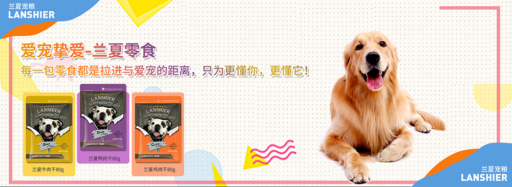 給狗狗喂零食，一定要清楚這3個原則！