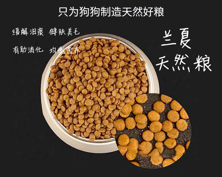 泰迪吃什么狗糧比較好？蘭夏狗糧值得擁有！